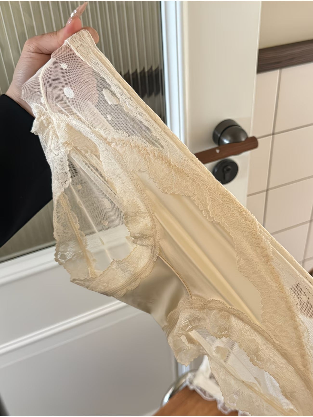 Luxe Lace Sheer Panties – Elegant Mesh | Silky Feel | Romantic Fit (PACK OF 3)
