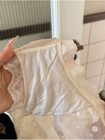 Luxe Lace Sheer Panties – Elegant Mesh | Silky Feel | Romantic Fit (PACK OF 3)