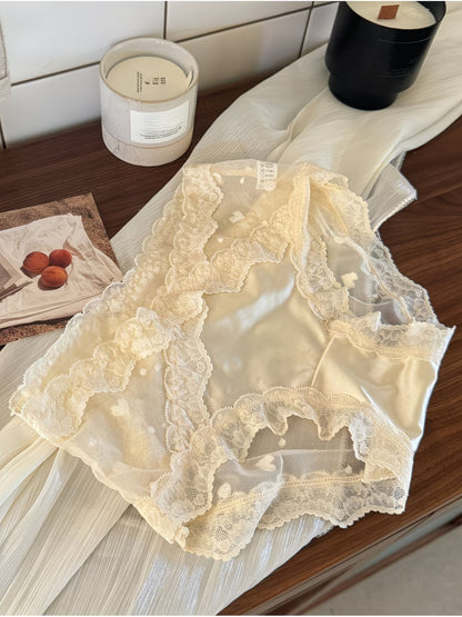Luxe Lace Sheer Panties – Elegant Mesh | Silky Feel | Romantic Fit (PACK OF 3)