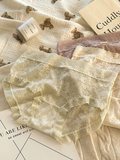 Luxury Lace Boyshort Panty Set – Soft Sheer Comfort (Pack of 5)