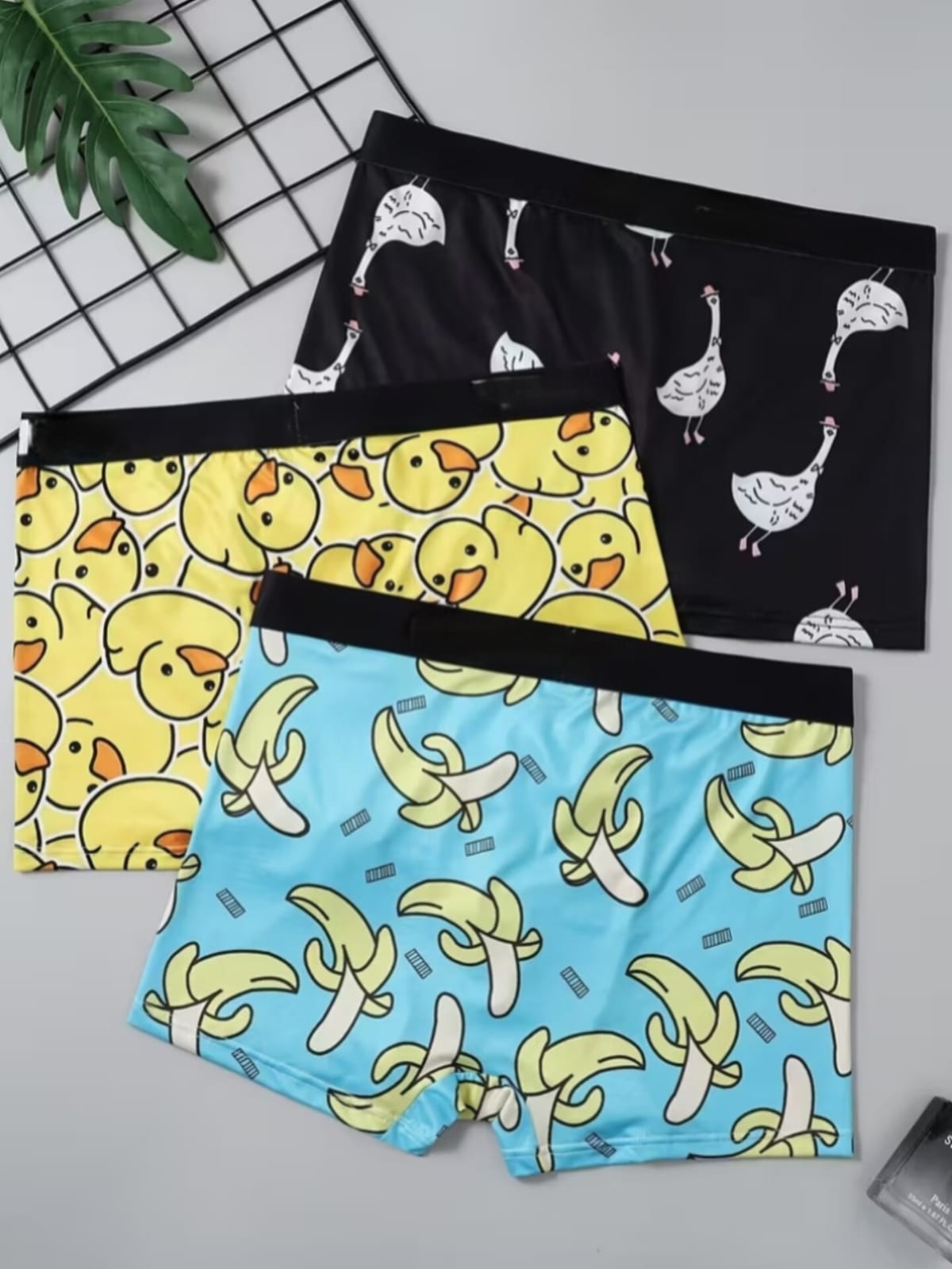 WhatsApp Image 2025-12-05 at 6.51.29 PM