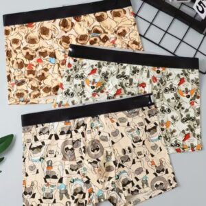 Zenva Playful Luxe Boxer Briefs – Ultra Soft Stretch Designer 3-Pack